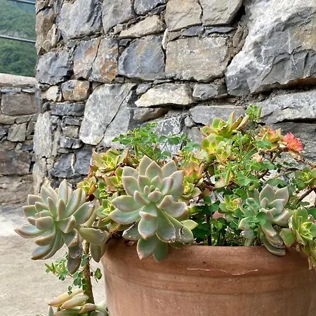 Lägenhet Terrazzi *